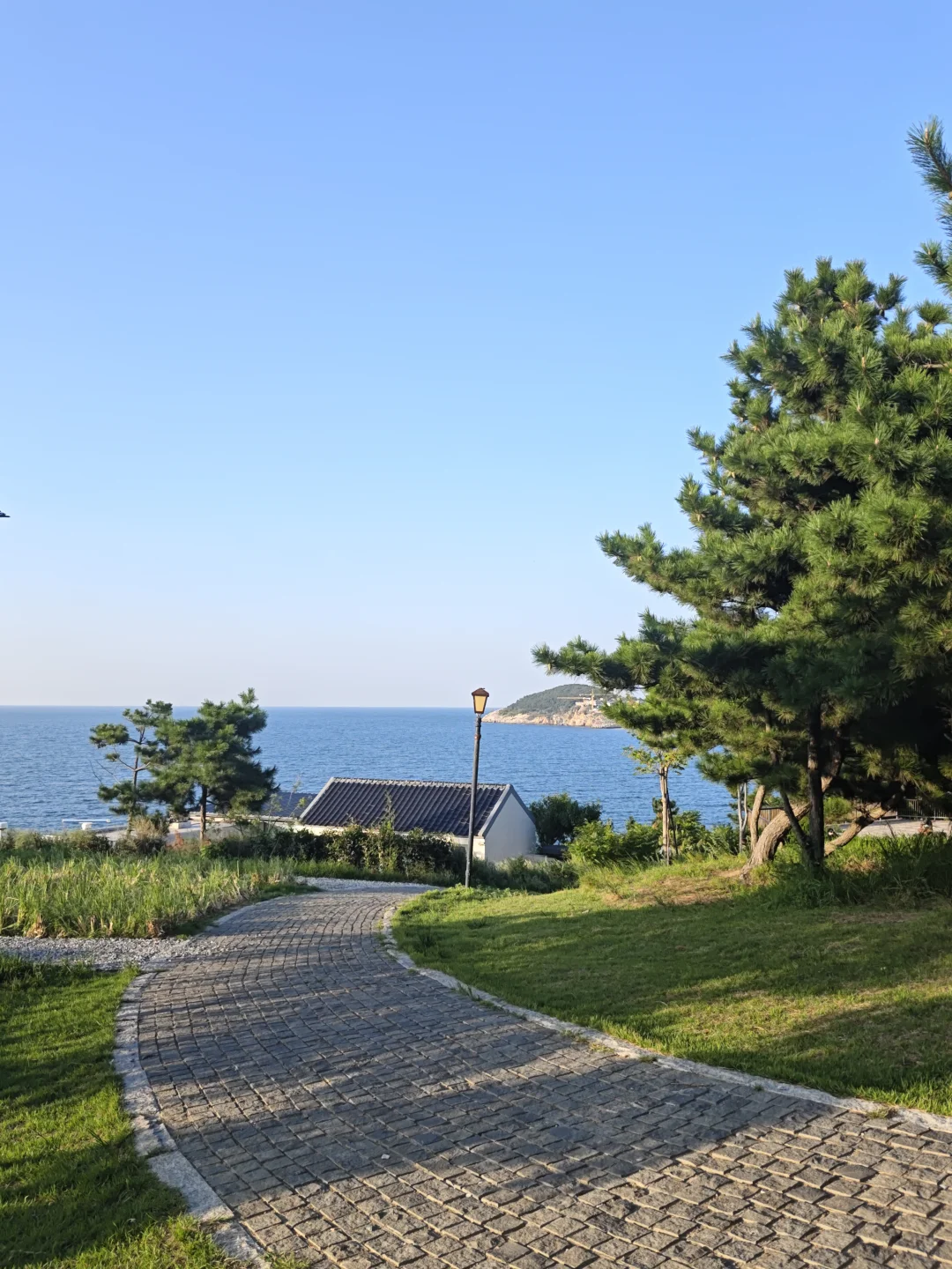 喂海公园松林与步道